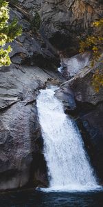 Nature,Rocks,Waterfall,Branches,Flow,Stream,Water