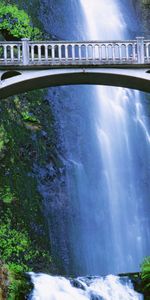 Nature,Rocks,Waterfall,Vegetation,Bridge,Humidity,Landscape,Leaves