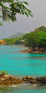 Nature,Rocky Shore,Stony Coast,Palms,Sea,Landscape