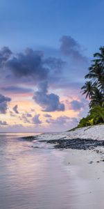 Arena,Océano,Naturaleza,Palms,Oceano,Playa