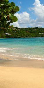 Nature,Sand,Tropics,Sea,Beach