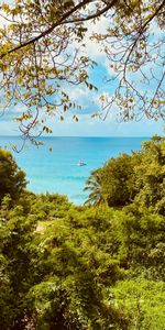 Nature,Sea,Branches,Leaves,Boat