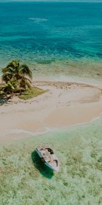 Nature,Sea,Coast,Palm,Boat,Beach