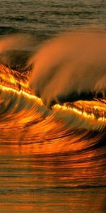 Nature,Sea,Evening,Wave,Mexico City