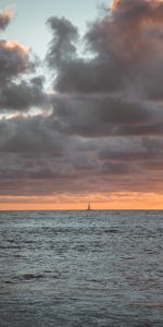 Nature,Sea,Horizon,Sailfish,Sailboat