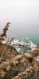 Nature,Sea,Rocks,Coast,Branches,Cliff,Waves