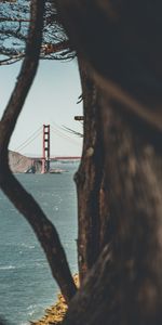 Nature,Sea,Rocks,Wood,Tree,Bridge