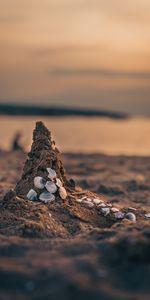 Nature,Sable,Coquilles,Mer,Plage