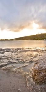 Nature,Récifs,Rive,Banque,Vent,Palms,Mer