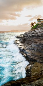 Nature,Sea,Shore,Bank,Waves,Cliff