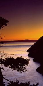 Nature,Sea,Twilight,Shore,Bank,Wood,Tree,Dusk,Outlines,Evening,Sky