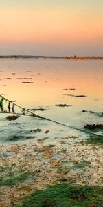 Nature,Shore,Bank,Mud,Dirt,Rope,Tina,Slime,Boat