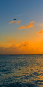 Nature,Shore,Bank,Palm,Barbados,Sunset,Ocean