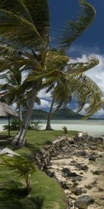 Orilla,Banco,Viento,Cobertizo,Pabellón,Naturaleza,Zona Tropical,Trópico,Playa