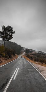 Nature,Silhouette,Tree,Wood,Road,Fog,Loneliness