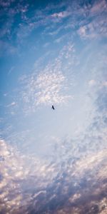 Nature,Sky,Oiseau,Minimalisme