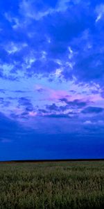 Nature,Nuages,Soir,Domaine,Champ,Sky