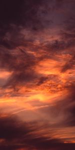 Nature,Sky,Clouds,Evening,Sunset