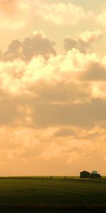 Nature,Sky,Clouds,Field,Village,Tractor