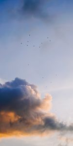 Nature,Sky,Clouds,Flock,Birds