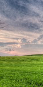 Nature,Sky,Clouds,Forest,Mainly Cloudy,Overcast,Voluminous,Shir,Field,Volumetric,Shire,Meadow