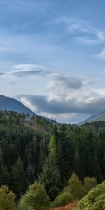 Nature,Sky,Clouds,Hill,Trees,Forest