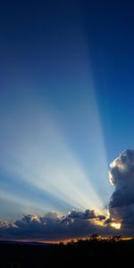 Nature,Sky,Clouds,Rays,Branches,Dahl,Beams,Distance