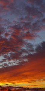 Nature,Sky,Clouds,Sunset,Landscape
