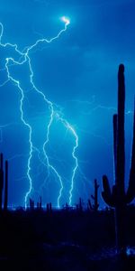 Nature,Sky,Desert,Outlines,Element,Cactuses,Lightning,Storm,Thunderstorm