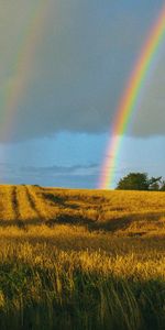 Nature,Sky,Field,After The Rain,Landscape,Rainbow