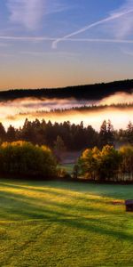 Forêt,Brouillard,Hauteur,Vue,Distance,Sky,Dahl,Espaces Ouverts,Étendue,Nature,Domaine,Champ,Seule,Lignes,Solitaire,Loger,Petite Maison