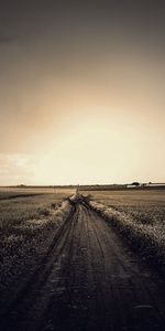 Chemin,Boue,Saleté,Inconnu,Sky,Route,Obscurité,Nature,Horizon,Automne