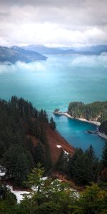 Nature,Sky,Lake,Coast,Fog,Trees