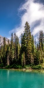 Nature,Sky,Lake,Fir,Spruce,Mountains,Forest