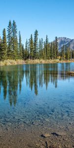 Épicéa,Sapin,Nature,Sky,Montagnes,Lac