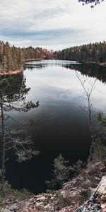 Árboles,Cielo,Lago,Bosque,Abeto,Naturaleza