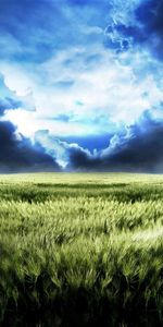 Nature,Sky,Lumen,Field,Opening,Bad Weather,Gloomy