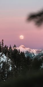 Nature,Sky,Mountain,Branches,Snowbound,Snow Covered,Moon