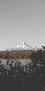 Nature,Sky,Mountain,Top,Lake,Branches,Snow Covered,Snowbound,Vertex