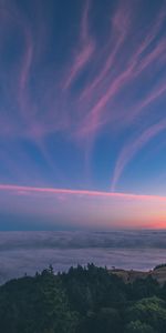 Nature,Sky,Mountain,United States,Mount Tamalpais,Sunset,Usa