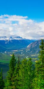 Nature,Sky,Mountains,Clouds,Spruce,Fir