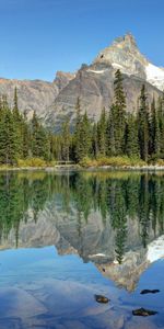 Nature,Sky,Mountains,Reflection,Trees,Summer