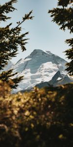 Naturaleza,Cielo,Montañas,Nieve,Sucursales,Ramas,Tops,Vértice