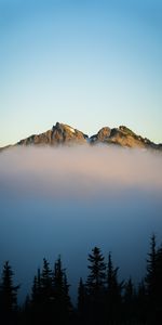 Nature,Sky,Mountains,Spruce,Fir,Fog