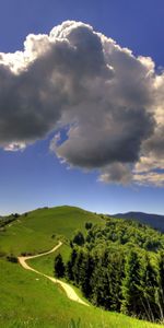 Volumétrique,Nuage,Dégager,Entourer,Nature,Forêt,Je Vois,Sky,Montagnes,Chemin,Piste,Paysage