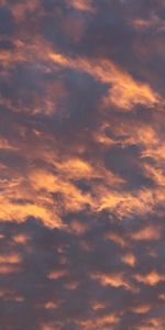 Nature,Sky,Pink,Clouds,Evening,Atmospheric