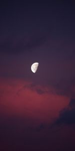 Nature,Sky,Pink,Full Moon,Night,Moon