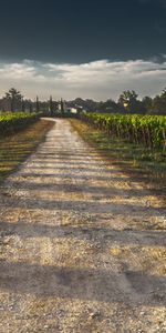 Nature,Sky,Road,Field,Shadow