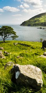 Horizon,Bois,Arbre,Sky,Côte,Nature,Mer