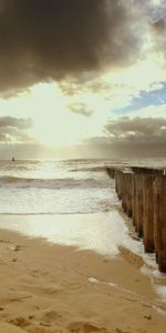 Nature,Sky,Shine,Logs,Light,Beach